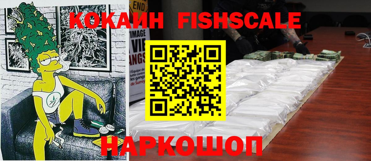 Cocaine Fish Scale  Вход с VPN  Фрязино 