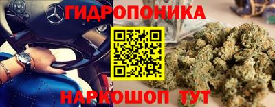 мдпв Можга