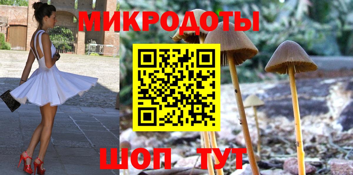 Галлюциногенные грибы MAGIC MUSHROOMS Фрязино